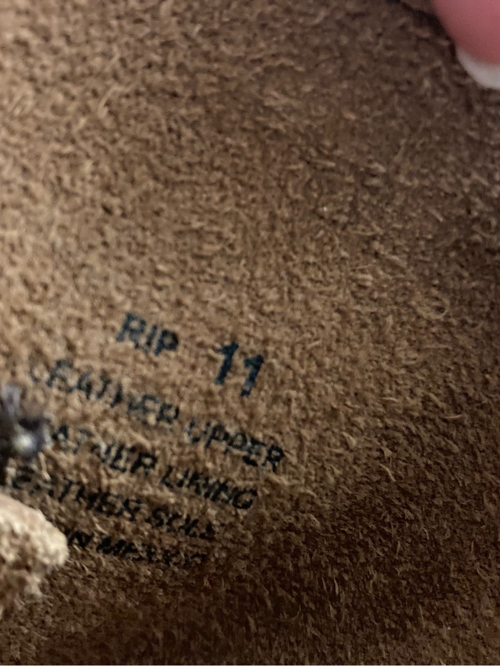 Freebird Rip - Picture 4 of 6